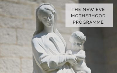 The New Eve Motherhood Programme